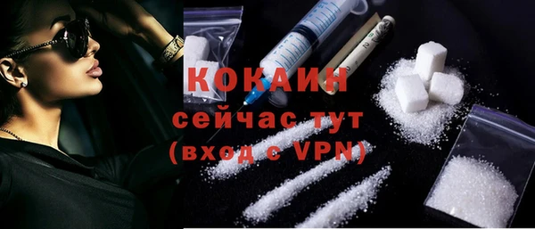 дурь Богородицк