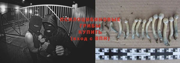 jwh Беломорск