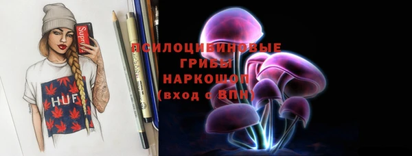 гидра Бородино