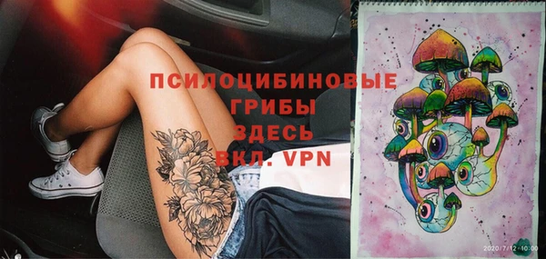 дурь Богородицк