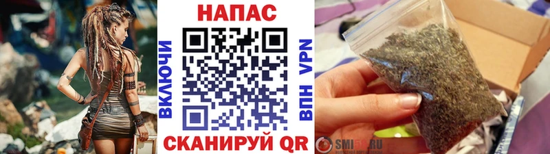 хочу наркоту  Барыш  OMG tor  Конопля сатива 